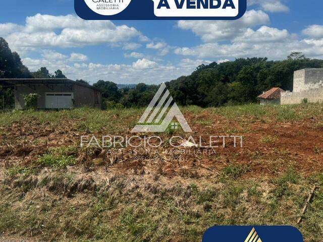 Terreno para Venda em Casca - 4