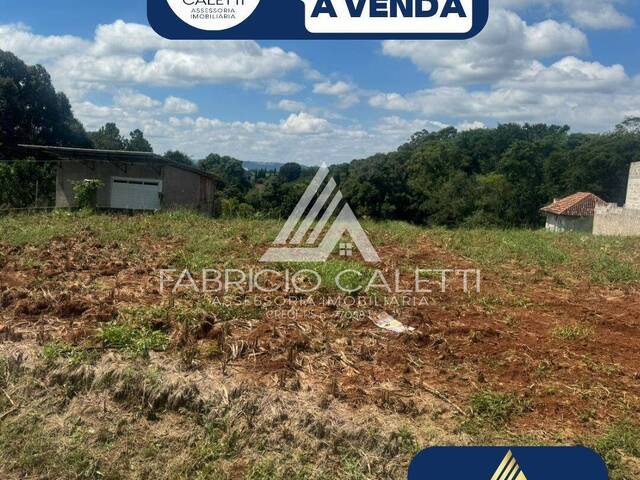 Terreno para Venda em Casca - 5