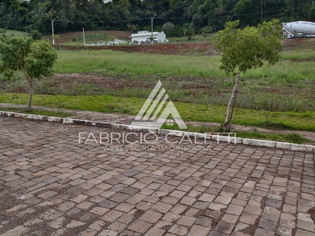 Terreno para Venda em Casca - 4