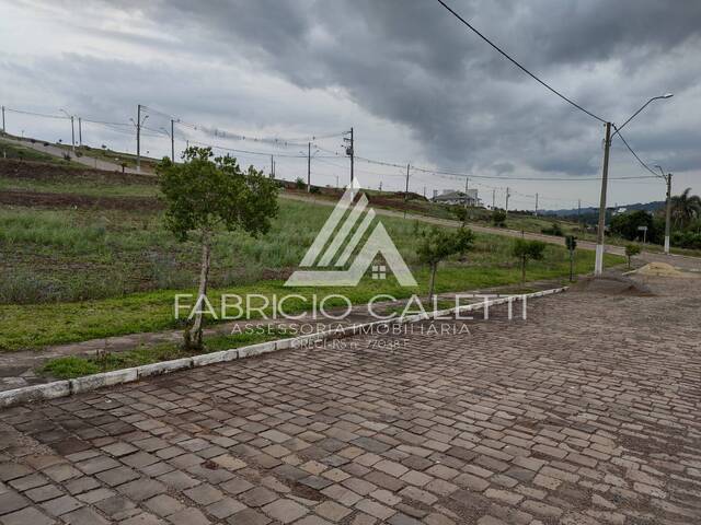Terreno para Venda em Casca - 5