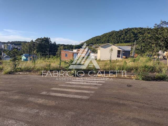 Terreno para Venda em Casca - 4