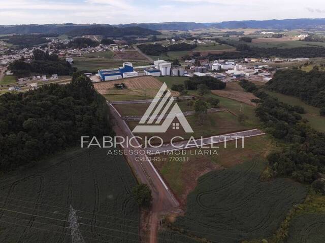 Terreno para Venda em Casca - 5