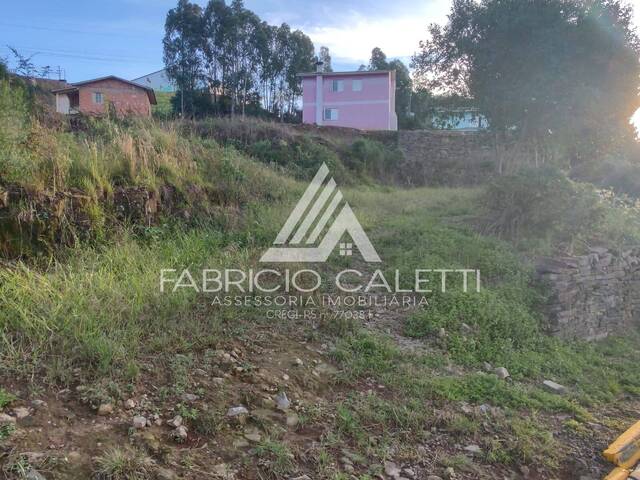 Terreno para Venda em Santo Antônio do Palma - 4