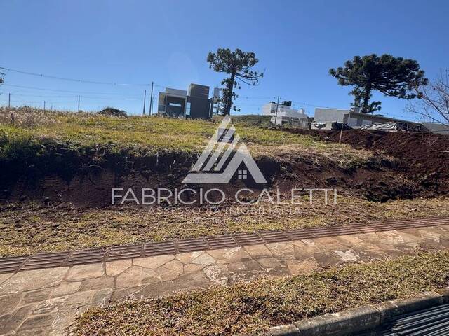 #87 - Área para Venda em Casca - RS - 3