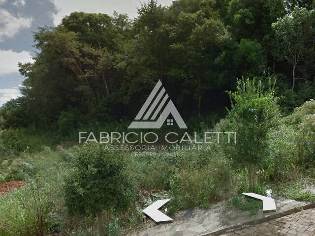 Área para Venda em Casca - 4