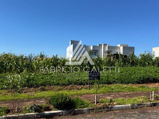 Área para Venda em Casca - 4