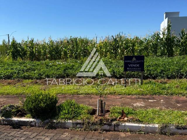 Área para Venda em Casca - 5