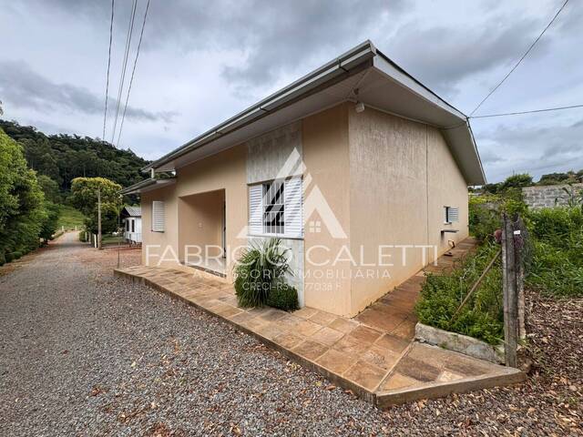 Venda em Linha Dr Montaury - Casca