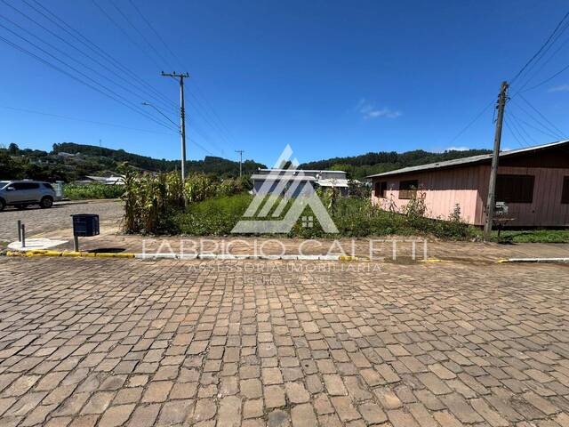 #113 - Área para Venda em Santo Antônio do Palma - RS - 3