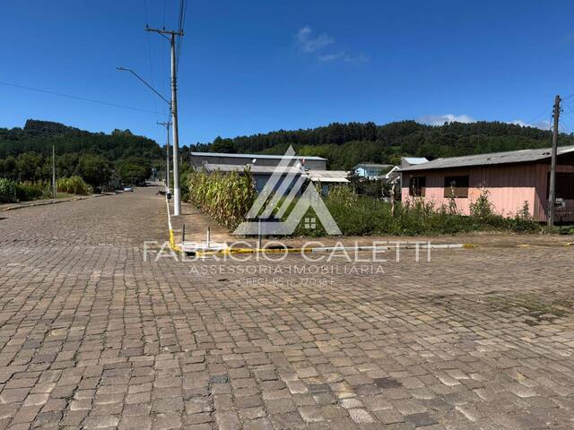 Área para Venda em Santo Antônio do Palma - 4