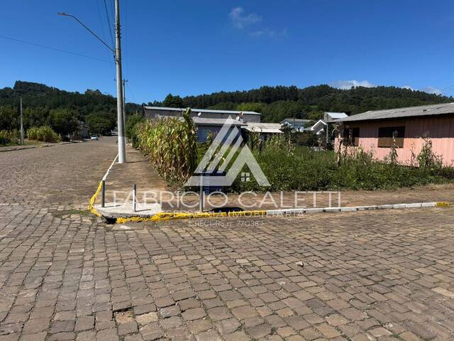 Área para Venda em Santo Antônio do Palma - 5