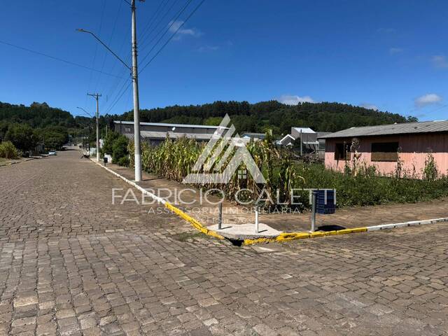 #113 - Área para Venda em Santo Antônio do Palma - RS - 1