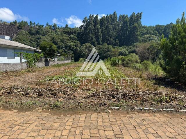 #114 - Área para Venda em Santo Antônio do Palma - RS - 3