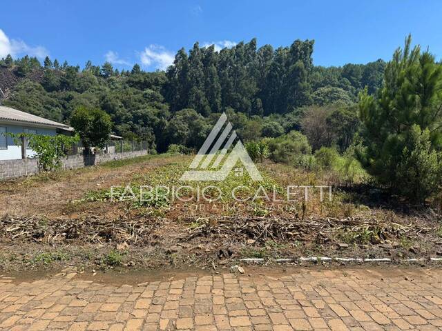 Área para Venda em Santo Antônio do Palma - 4