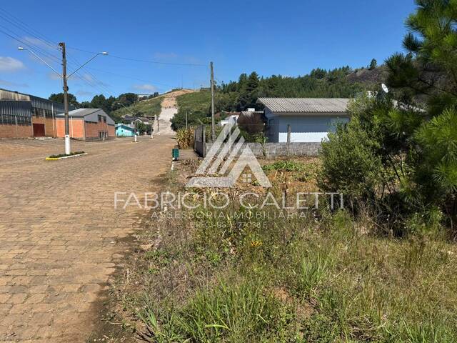 Área para Venda em Santo Antônio do Palma - 5