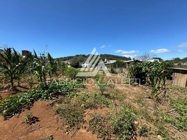 #115 - Área para Venda em Santo Antônio do Palma - RS - 2