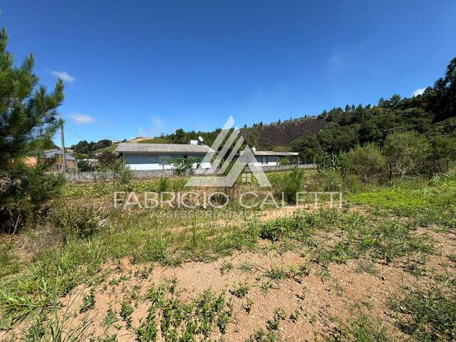 Área para Venda em Santo Antônio do Palma - 4