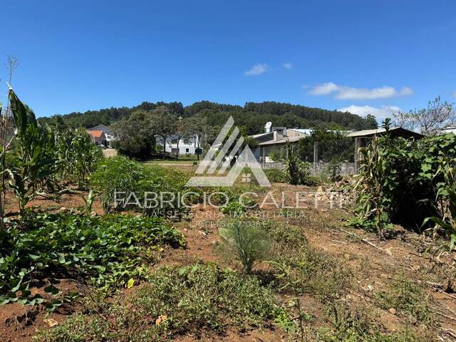 Área para Venda em Santo Antônio do Palma - 5