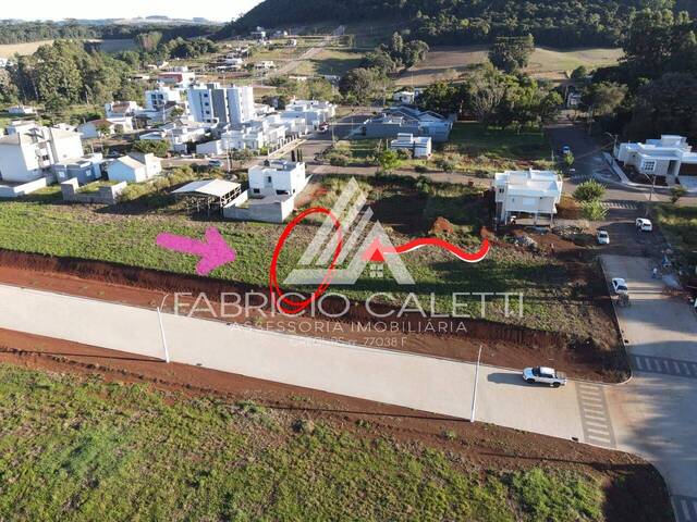 #116 - Área para Venda em Nova Prata - RS - 3
