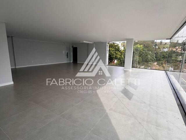 Sala para Locação em Casca - 4