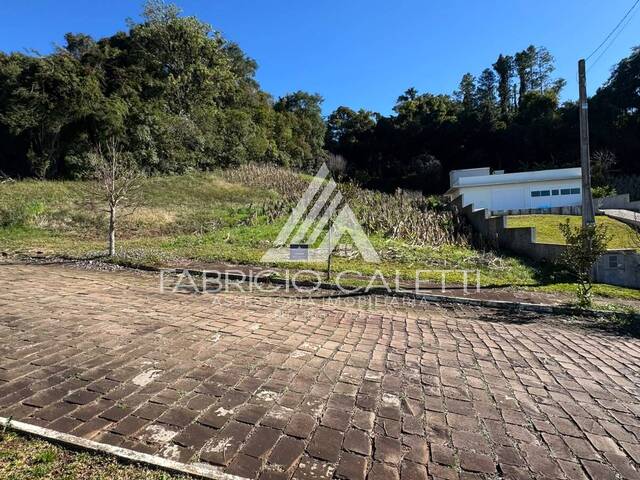 Área para Venda em Casca - 3